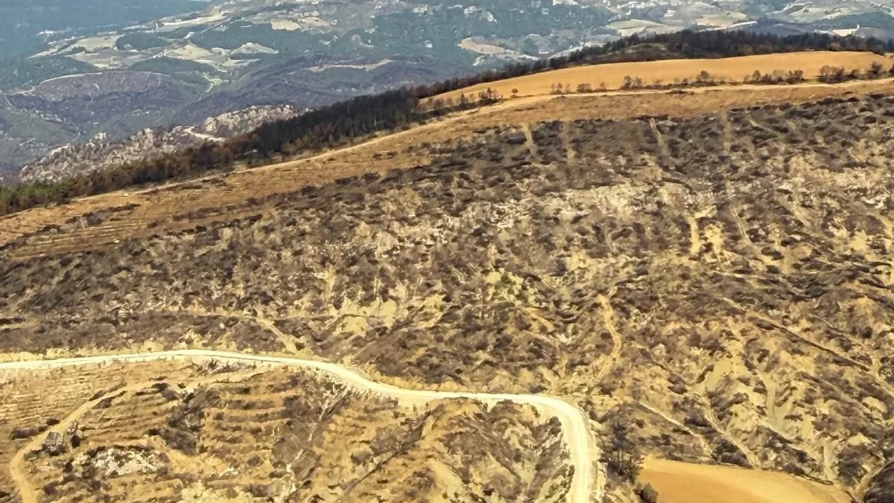 Bilecik'te yangın bölgelerine havadan inceleme