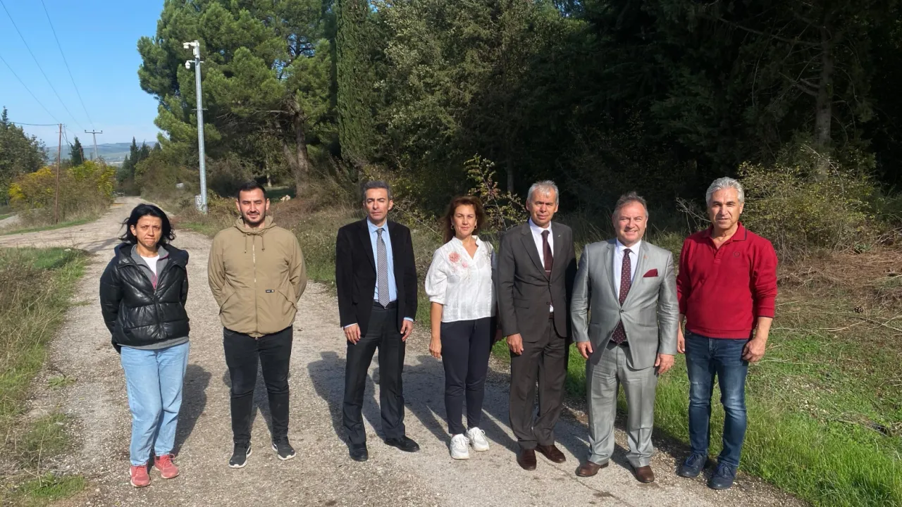 Bursa tarımına akademik bakış