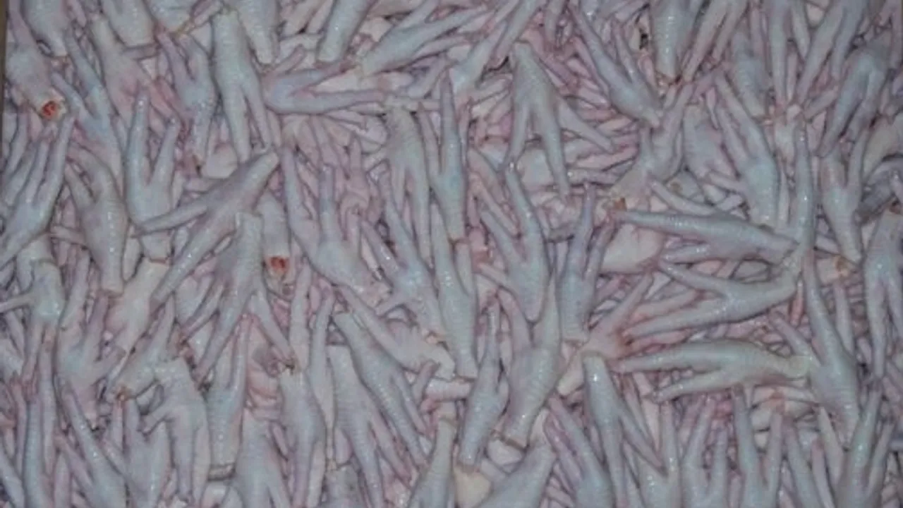 Kanatlı sektörü, Çin'e tavuk ayağı iznini bekliyor