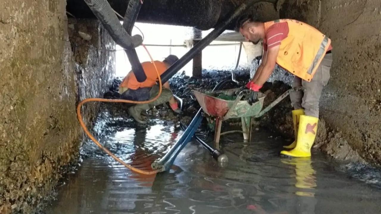 Ordu Fatsa'da tarihi temizlik seferberliği