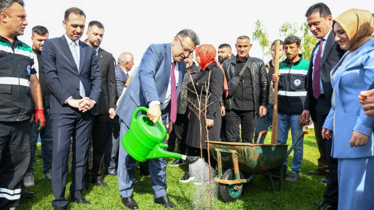 Trabzon'da 37 bin fidan toprakla buluştu
