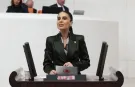 Milletvekili Özcan'dan sokak hayvanları için Bakan Yumaklı’ya önerge