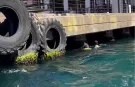 Kaybolan Rus yüzücü için İstanbul Boğazı'nda arama çalışmaları sürüyor