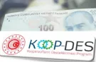 KOOP-DES Yönetmeliği'nde değişiklik Resmi Gazete'de