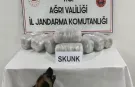 Ağrı'da 10 kilogram skunk ele geçirildi