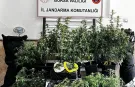 Bursa'da kilolarca esrar ve skunk ele geçirildi