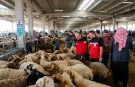 Kurban denetimleri 81 ilde sıkılaştırıldı