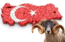 Yoğun gündeme bayram molası!
