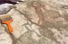Aspendos'ta tarihi keşif... Eurymedon Nehri mozaiği gün yüzüne çıkarıldı