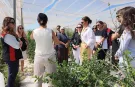 İzmir Tire'de Berry Hill Çiftliği'ne teknik gezi