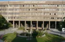Ankara'da 'Daltonlar' ve 'Baygaralar' operasyonu: 7 tutuklama!