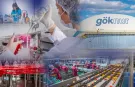 Göknur'dan kayyım açıklaması... Karar aynı gün kaldırıldı
