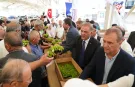 İstanbul'da hasat bayramı Çatalca'da kutlandı