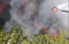Muğla'da başlayıp Kaş'a sıçradı! Müdahale sürüyor
