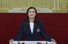 CHP'li Kılıç: Farklı düşüncenin cezalandırılmadığı bir CHP istiyoruz
