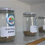 Ata Tohum projesi, katlanarak yürüyor