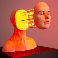 KÜLTÜR