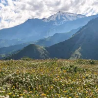 YAŞAM
