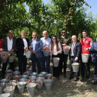 EKONOMİ