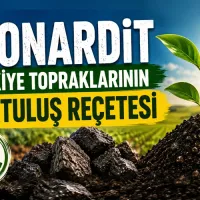 GÜNDEM
