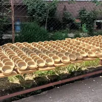 KÜLTÜR
