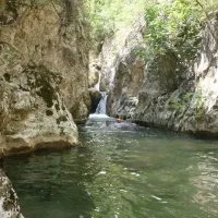 YAŞAM