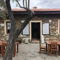 YAŞAM