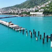 YAŞAM