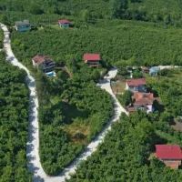 YAŞAM