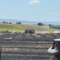 YAŞAM