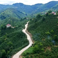 YAŞAM