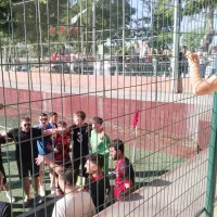 SPOR