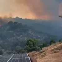 DÜNYA
