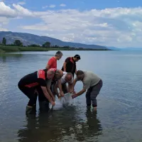 YAŞAM