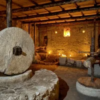 YAŞAM