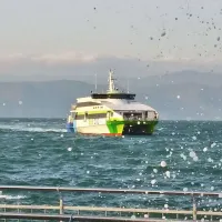 YAŞAM