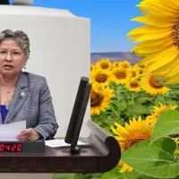SİYASET
