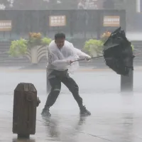 DÜNYA