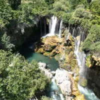 YAŞAM