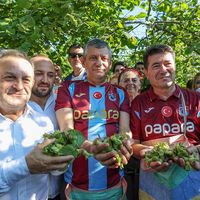 SİYASET