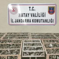 GÜNDEM