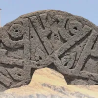 YAŞAM