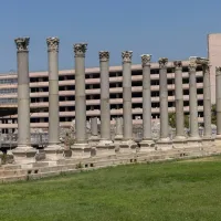 YAŞAM