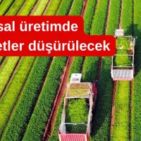 GÜNDEM