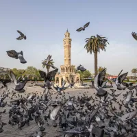 YAŞAM