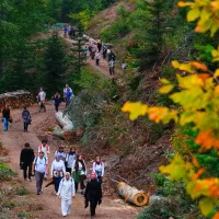 YAŞAM