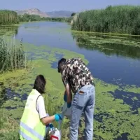 GÜNDEM