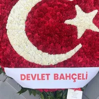 SİYASET