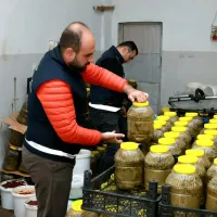 YAŞAM