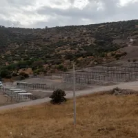 YAŞAM